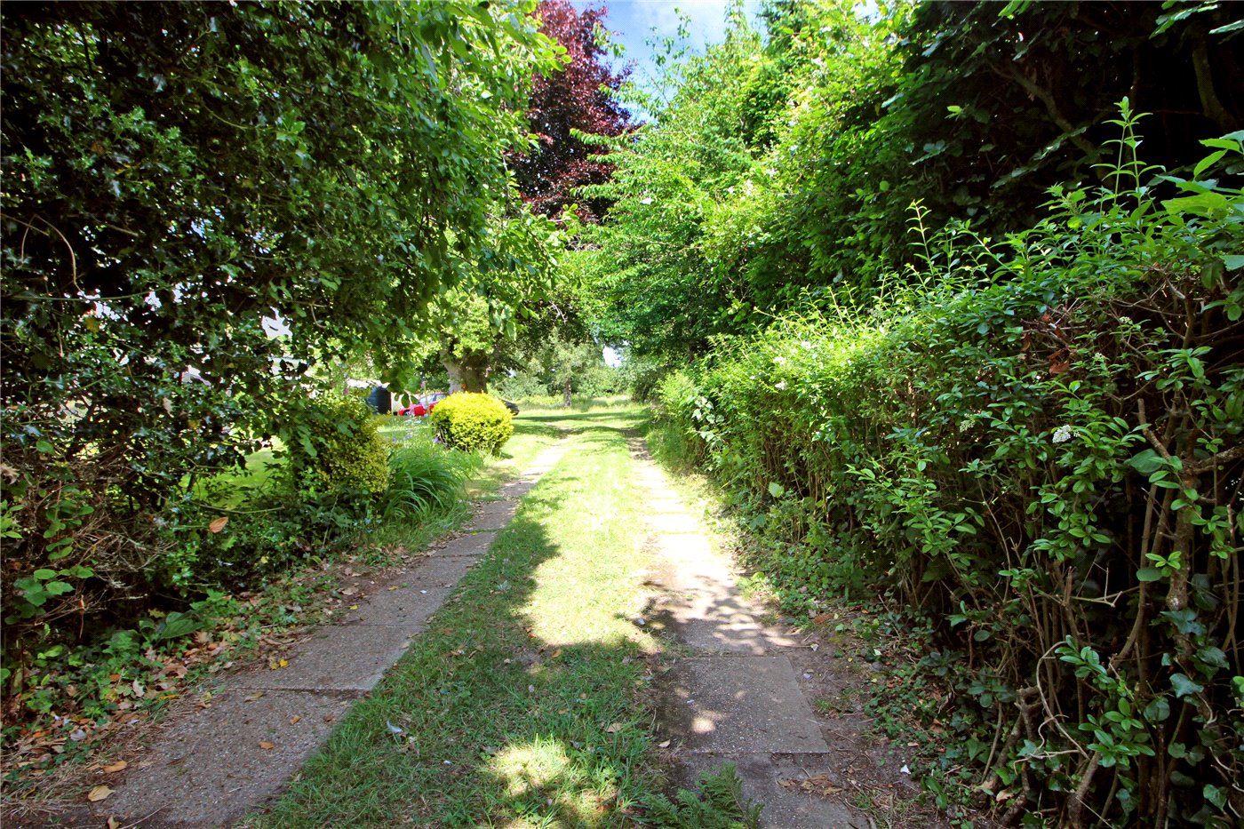 Driveway